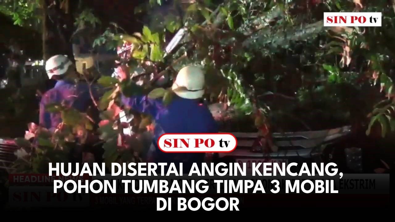 Hujan Disertai Angin Kencang, Pohon Tumbang Timpa 3 Mobil di Bogor