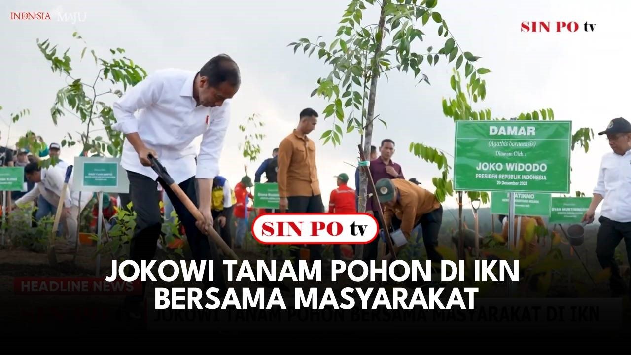 Jokowi Tanam Pohon di IKN Bersama Masyarakat