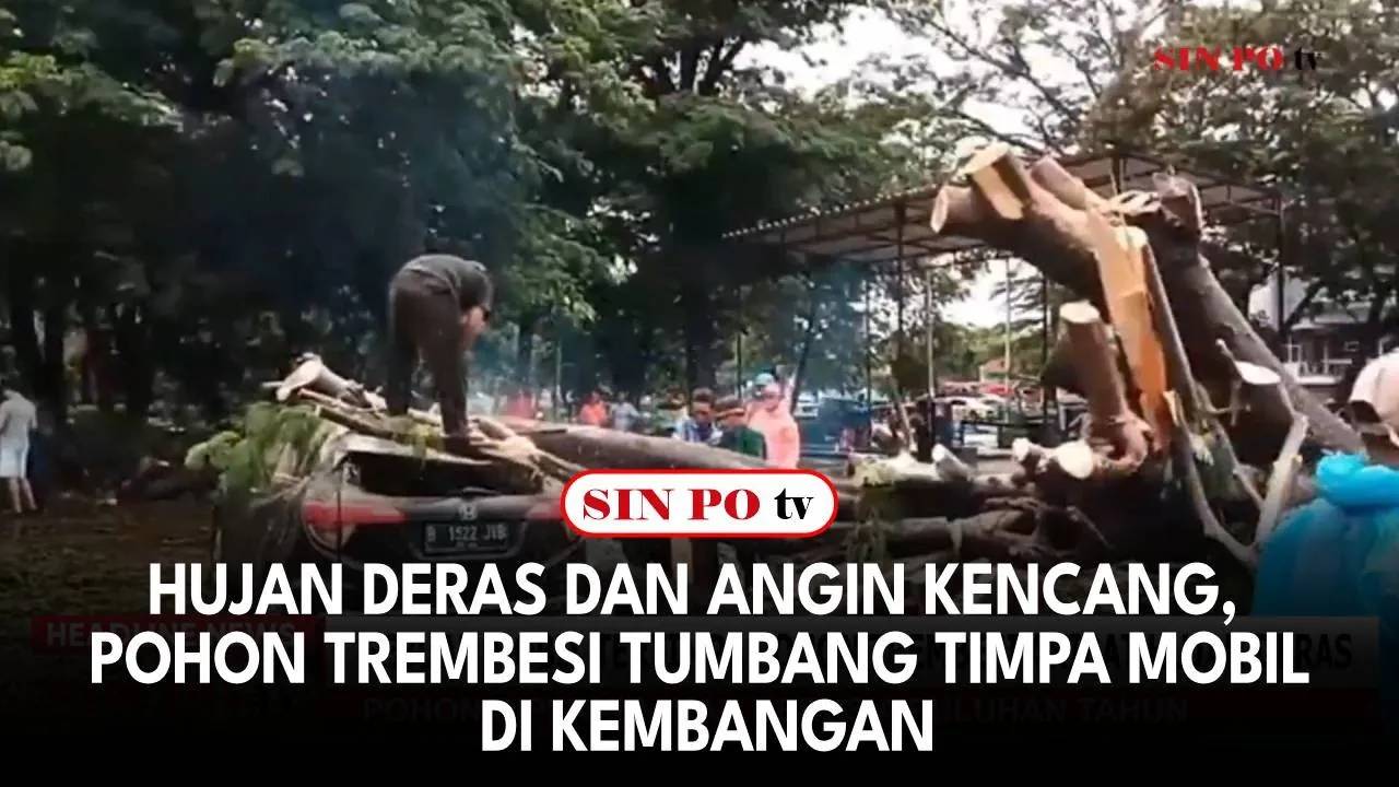 Hujan Deras dan Angin Kencang, Pohon Trembesi Tumbang Timpa Mobil di Kembangan