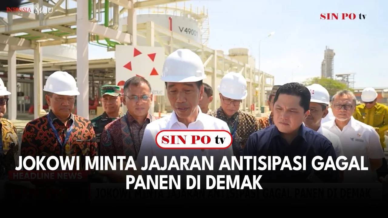 Jokowi Minta Jajaran Antisipasi Gagal Panen di Demak