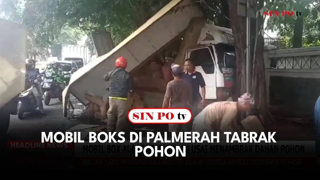 Mobil Boks di Palmerah Tabrak Pohon