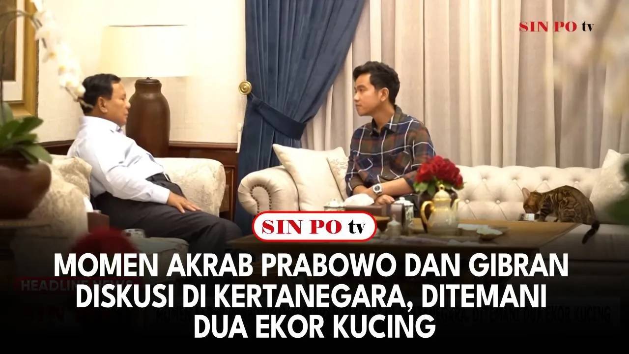 Momen Akrab Prabowo dan Gibran Diskusi di Kertanegara, Ditemani Dua Ekor Kucing