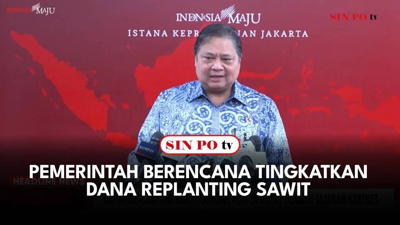 Pemerintah Berencana Tingkatkan Dana Replanting Sawit