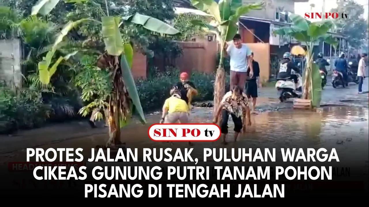 Protes Jalan Rusak, Puluhan Warga Cikeas Gunung Putri Tanam Pohon Pisang di Tengah Jalan