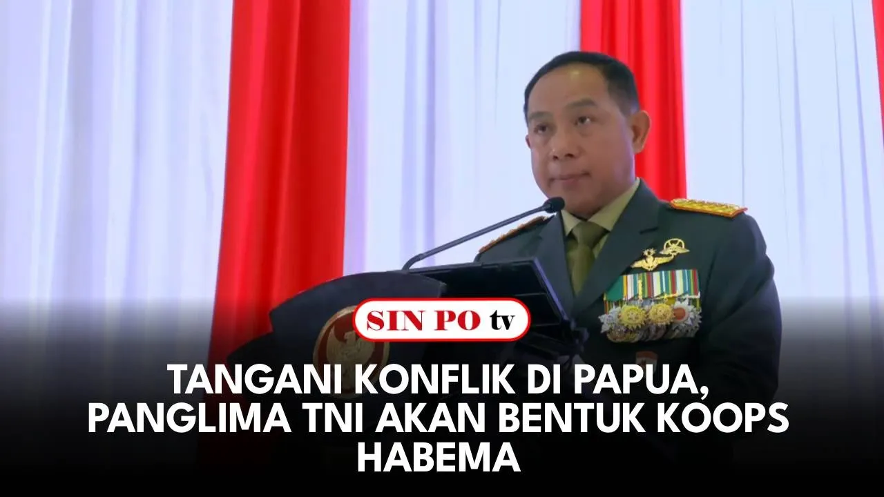 Tangani Konflik Di Papua, Panglima TNI Akan Bentuk Koops Habema