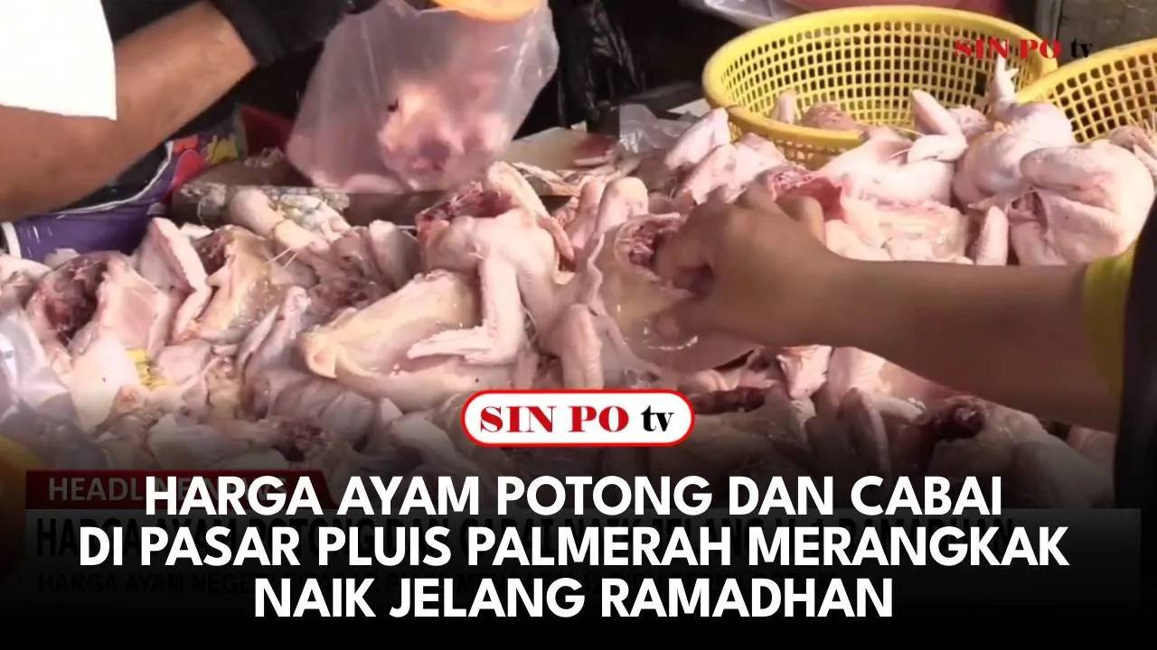 Harga Ayam Potong Dan Cabai Di Pasar Pluis Palmerah Merangkak Naik