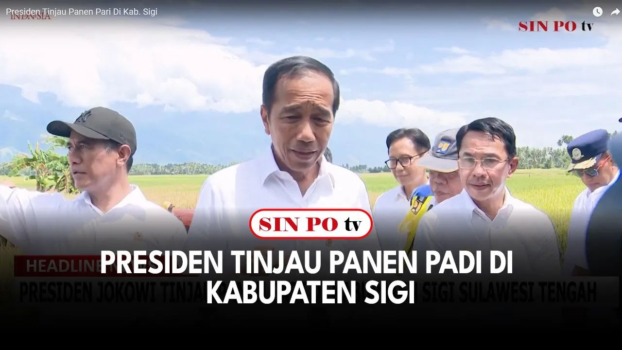 Presiden Tinjau Panen Padi Di Kab. Sigi