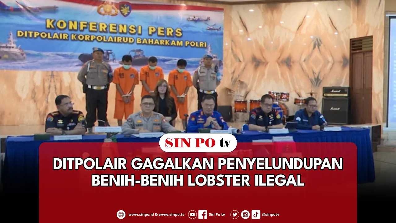 Ditpolair Gagalkan Penyelundupan Benih-Benih Lobster Ilegal