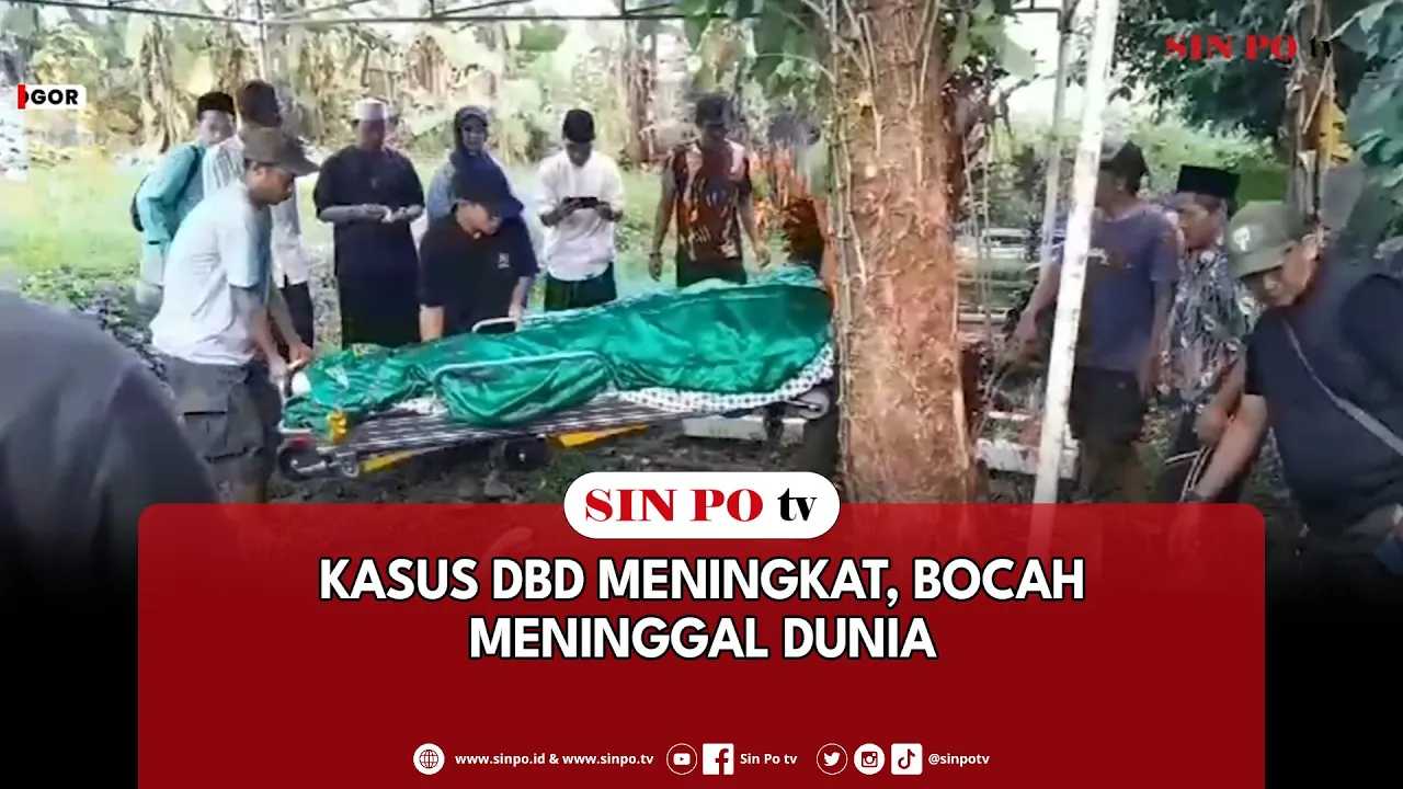 Kasus DBD Meningkat, Bocah Meninggal Dunia