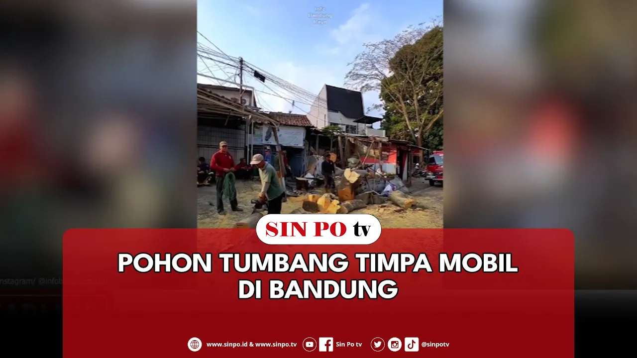 Pohon Tumbang Timpa Mobil Di Bandung