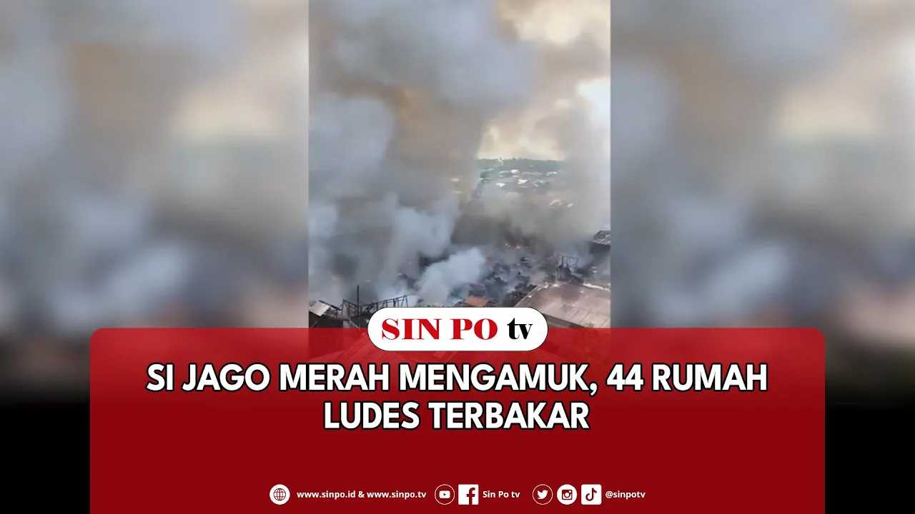 Si Jago Merah Mengamuk, 44 Rumah Ludes Terbakar