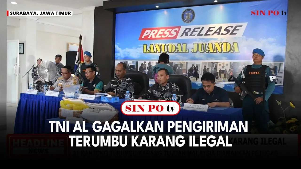 TNI AL Gagalkan Pengiriman Terumbu Karang Ilegal