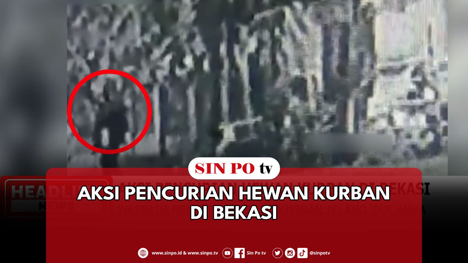 Aksi Pencurian Hewan Kurban Di Bekasi