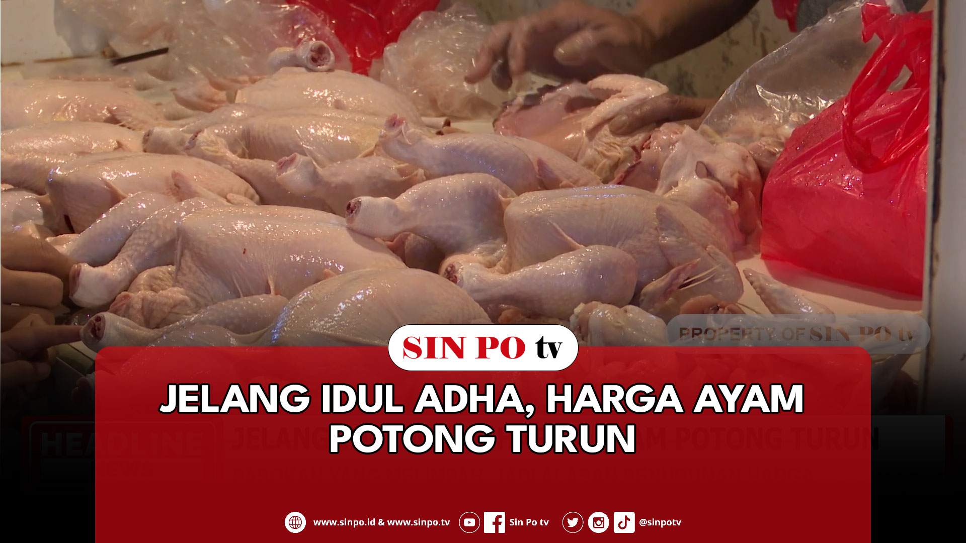 Jelang Idul Adha, Harga Ayam Potong Turun