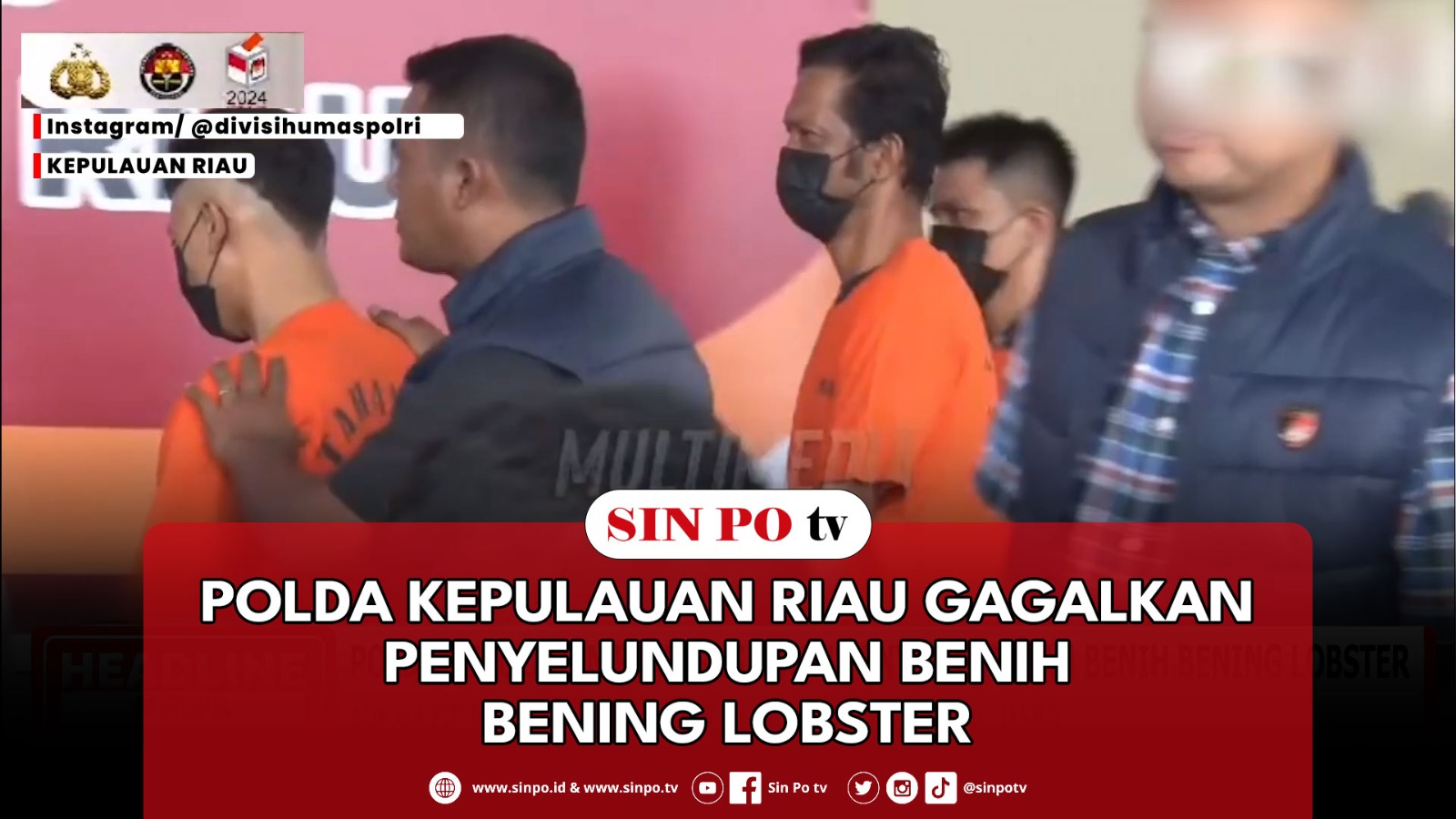 Polda Kepulauan Riau Gagalkan Penyelundupan Benih Bening Lobster