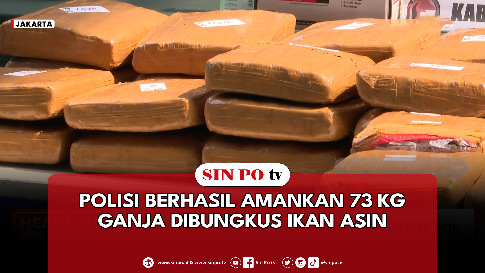 Polisi Berhasil Amankan 73 Kg Ganja Dibungkus Ikan Asin