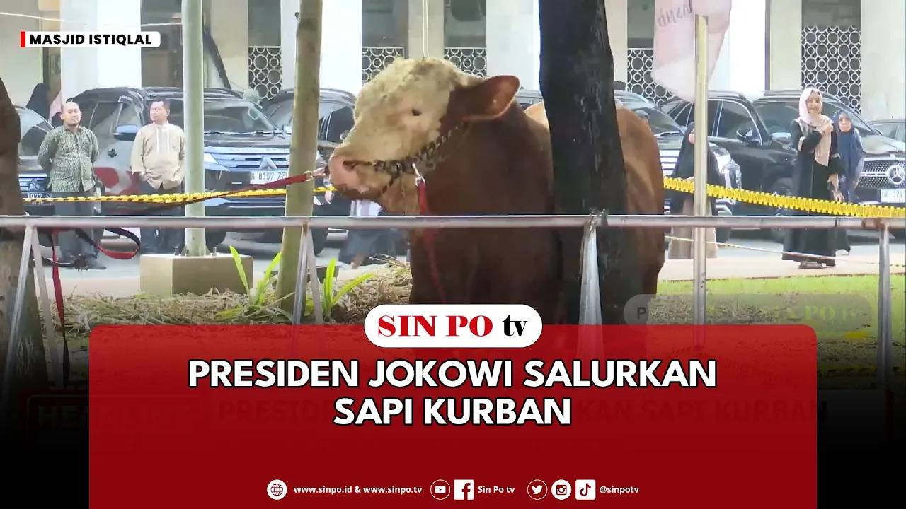 Presiden Jokowi Salurkan Sapi Kurban