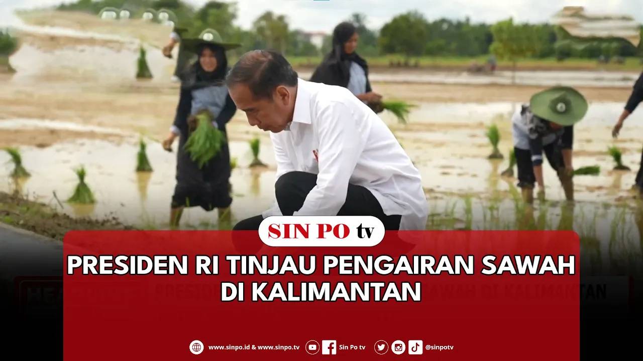 Presiden RI Tinjau Pengairan Sawah Di Kalimantan