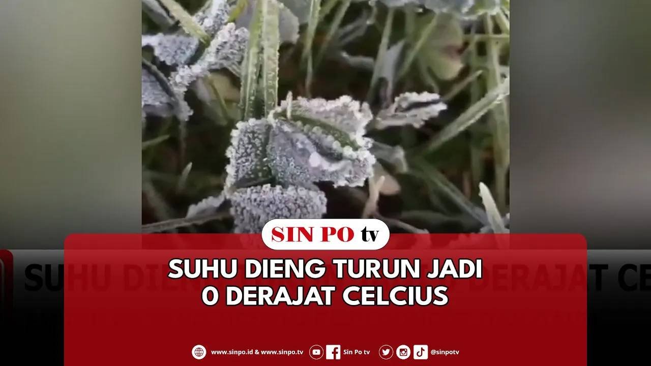 Suhu Dieng Turun Jadi 0 Derajat Celcius