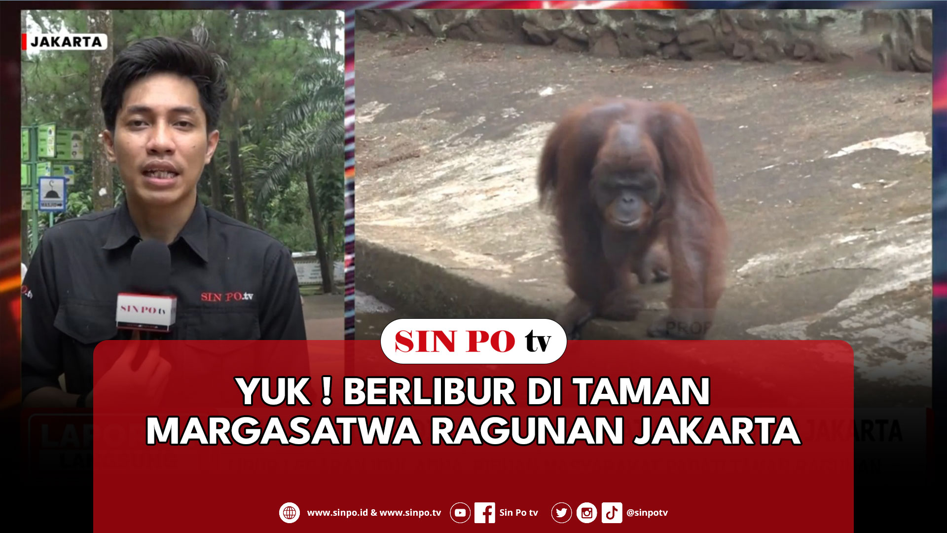 Yuk ! Berlibur Di Taman Margasatwa Ragunan Jakarta