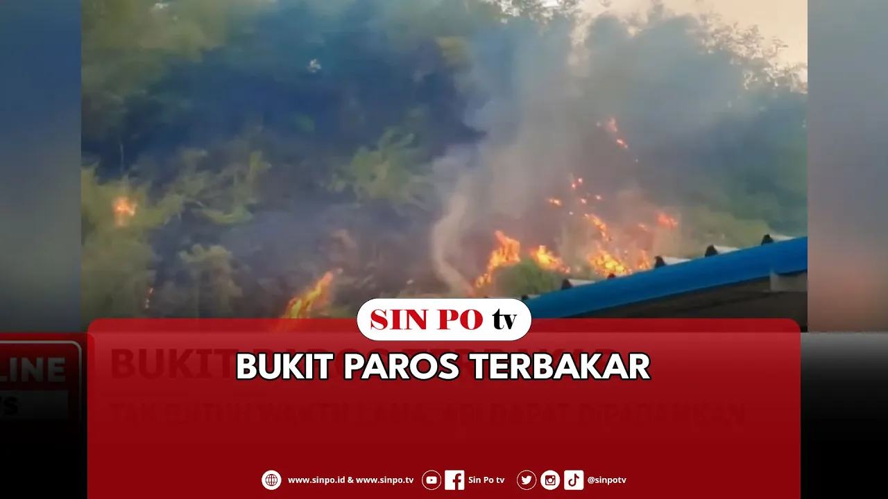 Bukit Paros Terbakar