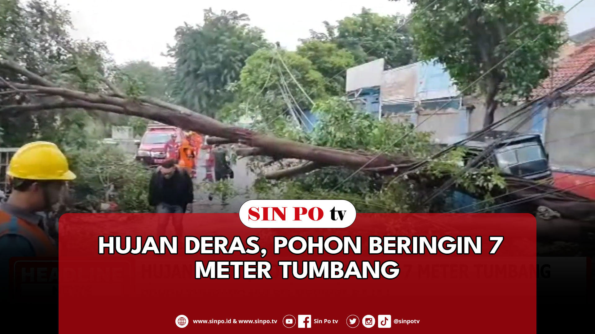 Hujan Deras, Pohon Beringin 7 Meter Tumbang