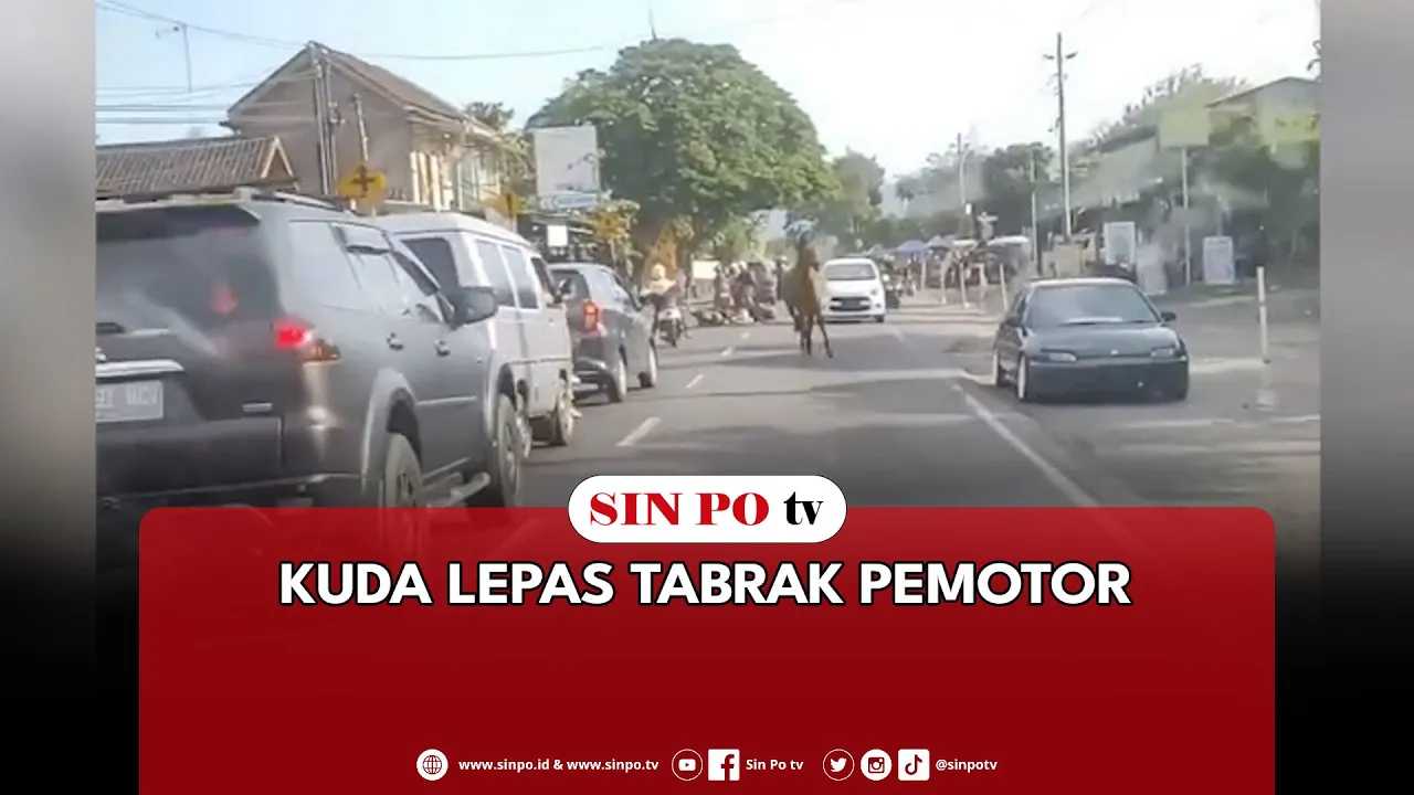 Kuda Lepas Tabrak Pemotor