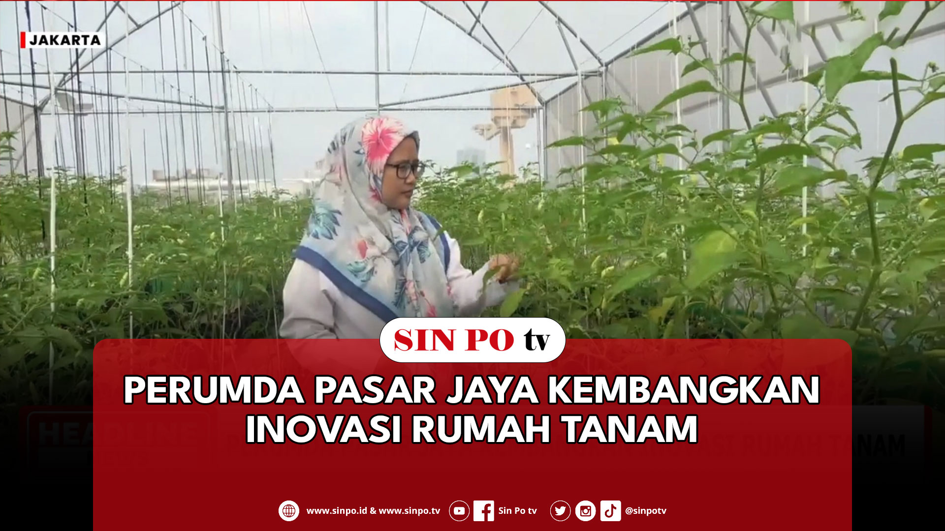 Perumda Pasar Jaya Kembangkan Inovasi Rumah Tanam