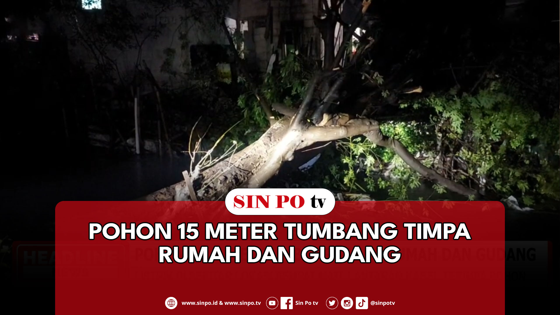 Pohon 15 Meter Tumbang Timpa Rumah Dan Gudang