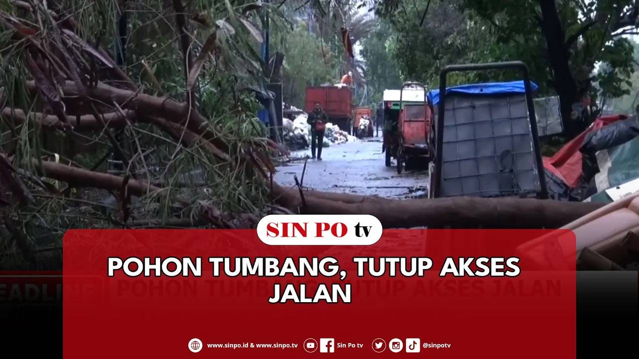 Pohon Tumbang, Tutup Akses Jalan