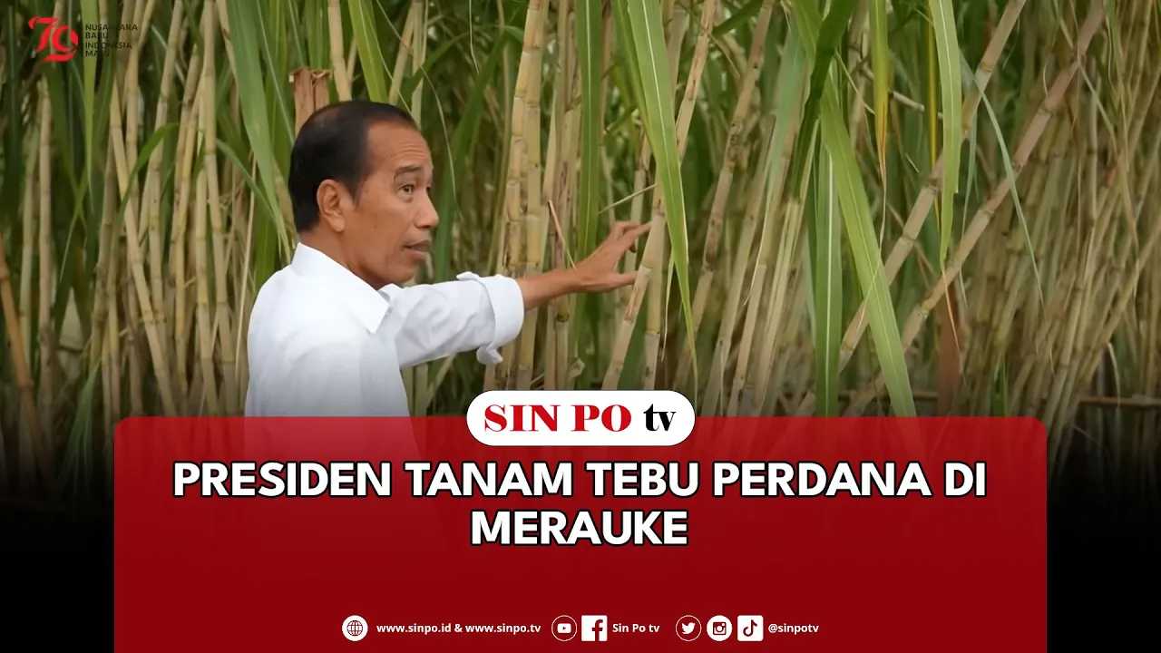 Presiden Tanam Tebu Perdana Di Merauke