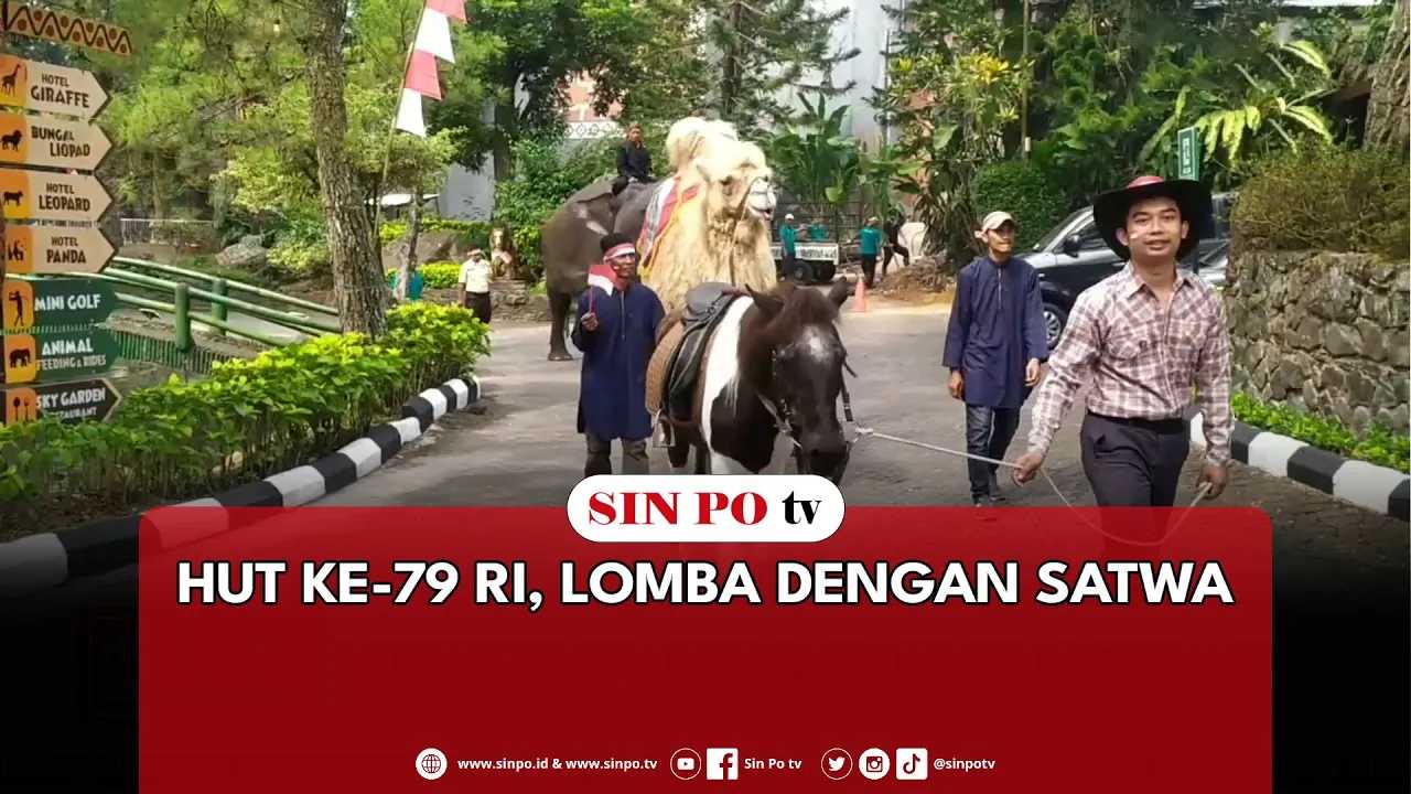 HUT Ke-79 RI, Lomba Dengan Satwa