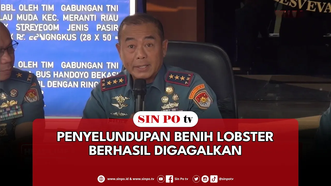 Penyelundupan Benih Lobster Berhasil Digagalkan