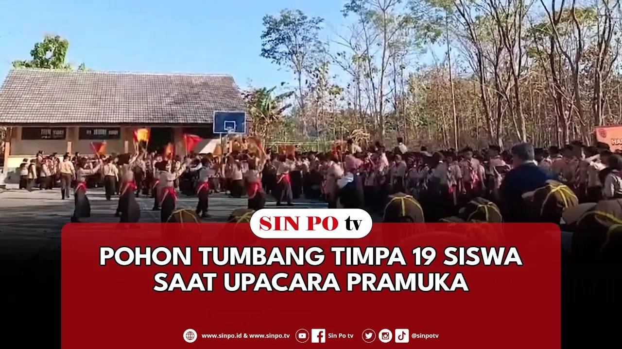 Pohon Tumbang Timpa 19 Siswa Saat Upacara Pramuka