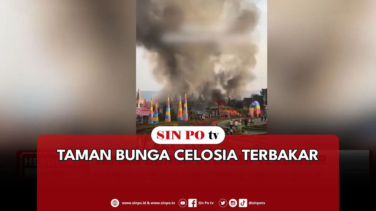 Taman Bunga Celosia Terbakar