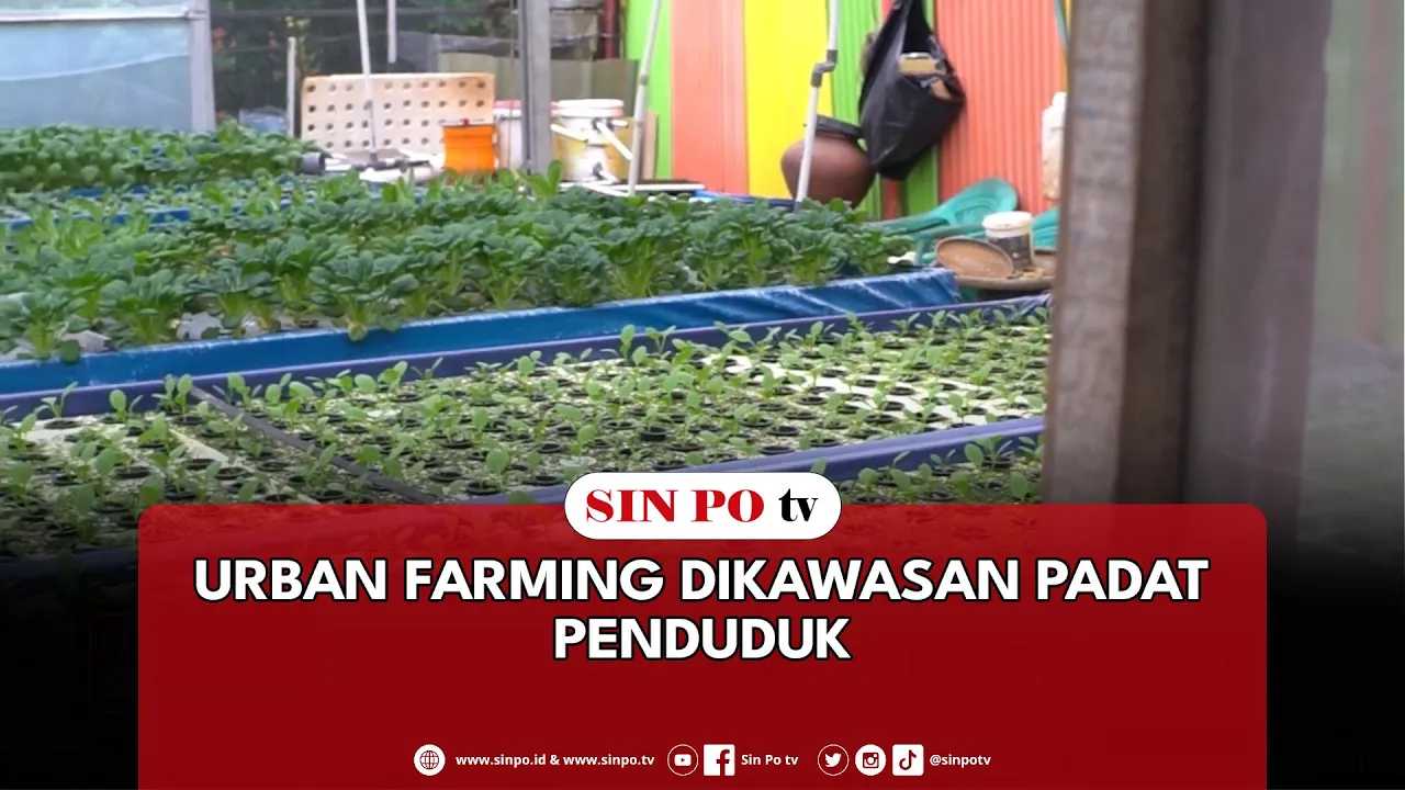 Urban Farming Dikawasan Padat Penduduk
