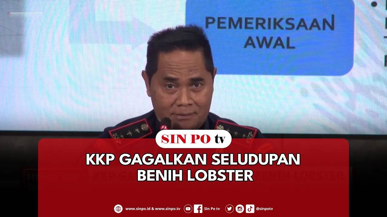 KKP Gagalkan Seludupan Benih Lobster