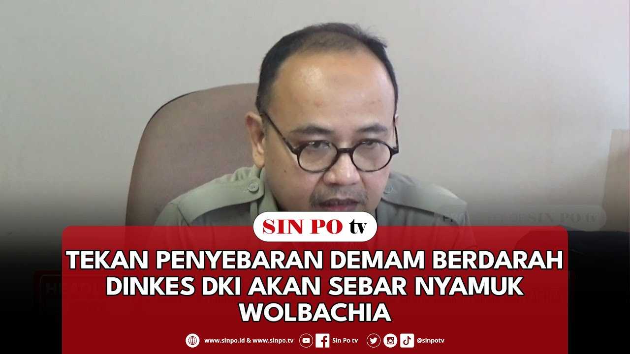 Tekan Penyebaran Demam Berdarah Dinkes DKI Akan Sebar Nyamuk Wolbachia