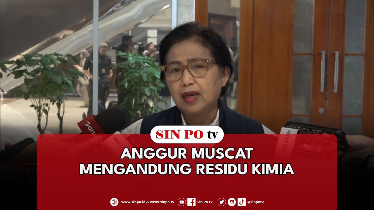 Anggur Muscat Mengandung Residu Kimia