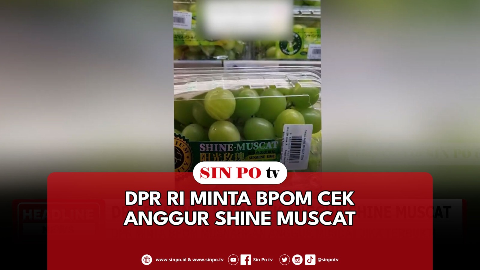 DPR RI Minta BPOM Cek Anggur Shine Muscat