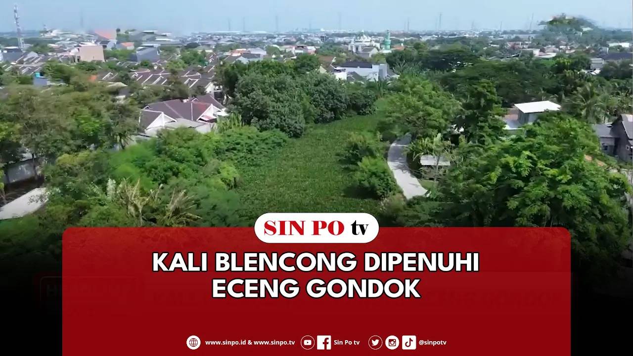 Kali Blencong Dipenuhi Eceng Gondok