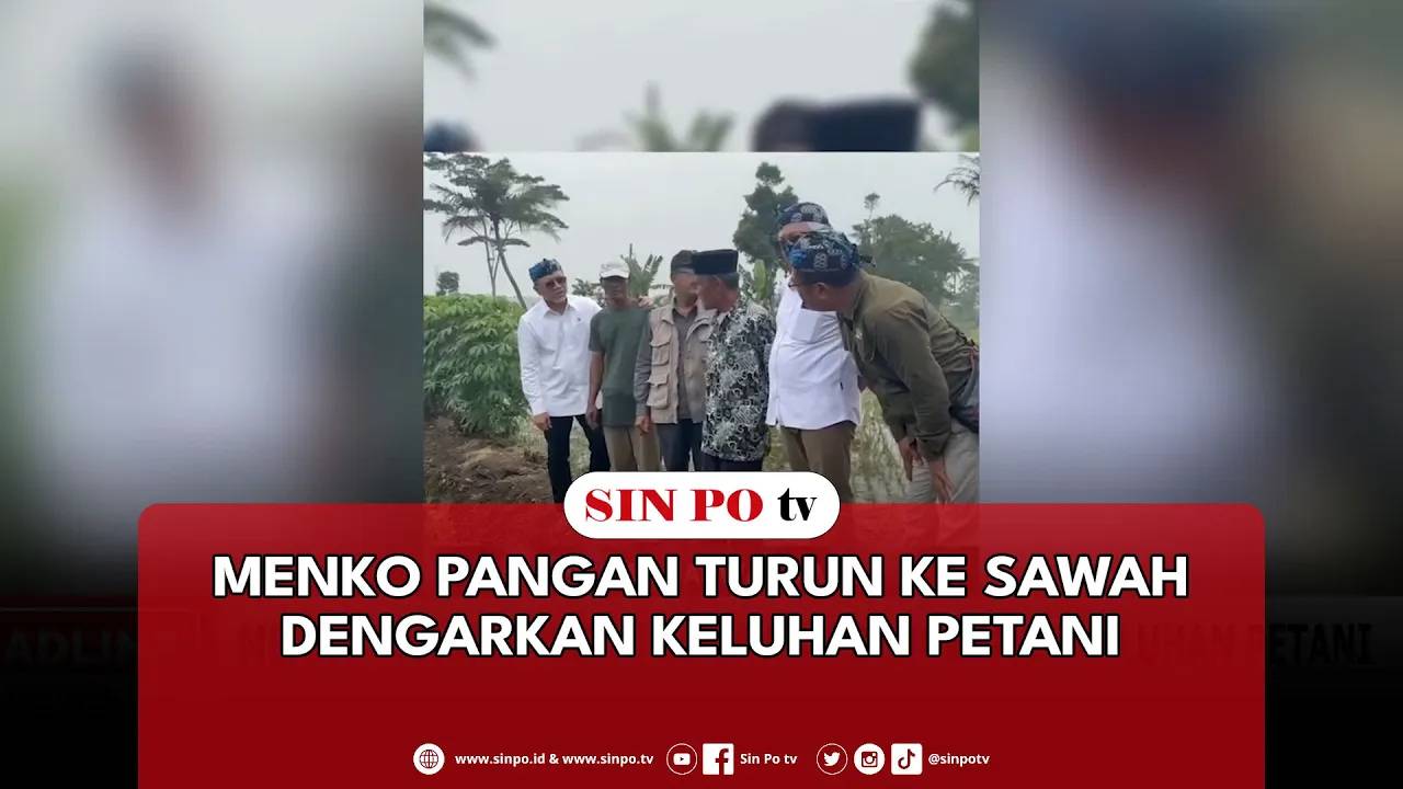 Menko Pangan Turun Ke Sawah Dengarkan Keluhan Petani