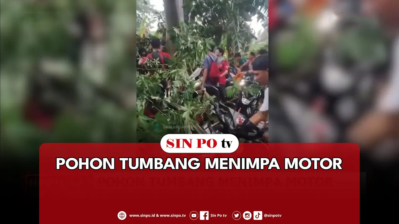 Pohon Tumbang Menimpa Motor