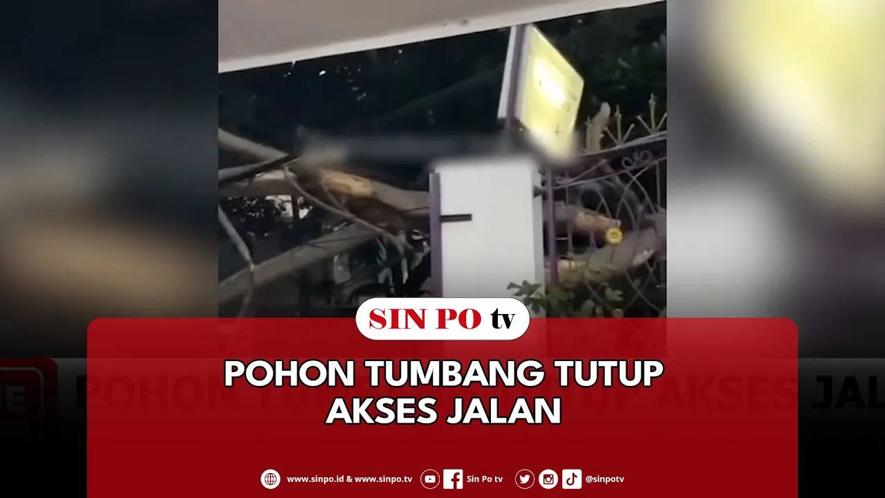 Pohon Tumbang Tutup Akses Jalan