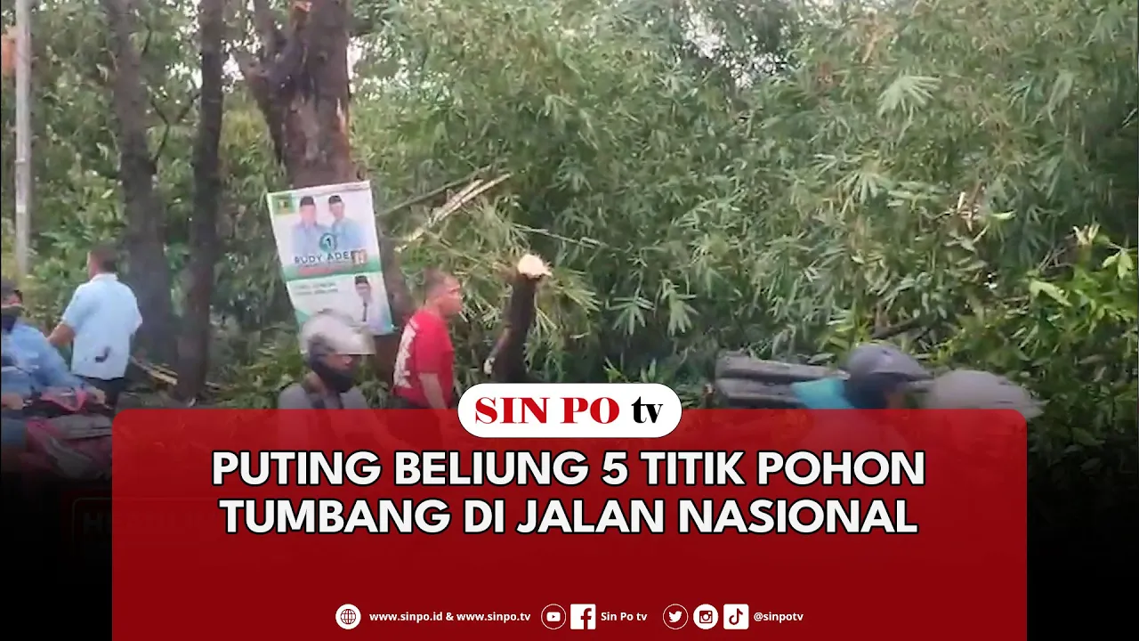 Puting Beliung 5 Titik Pohon Tumbang Di Jalan Nasional