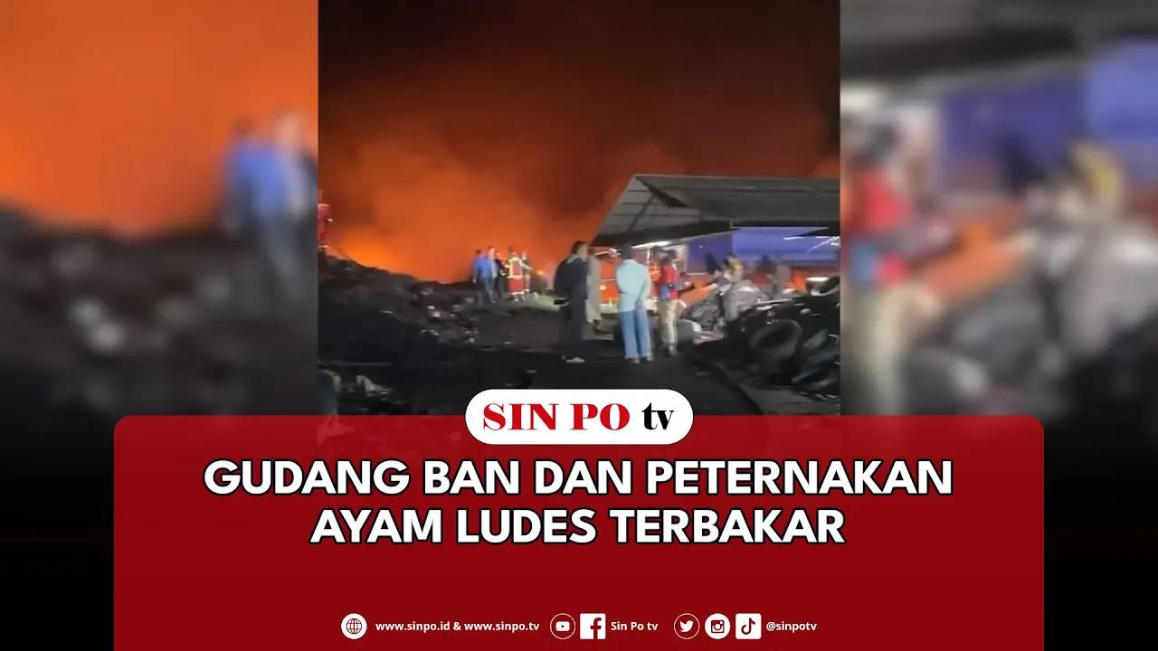 Gudang Ban Dan Peternakan Ayam Ludes Terbakar