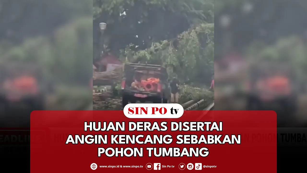 Hujan Deras Disertai Angin Kencang Sebabkan Pohon Tumbang