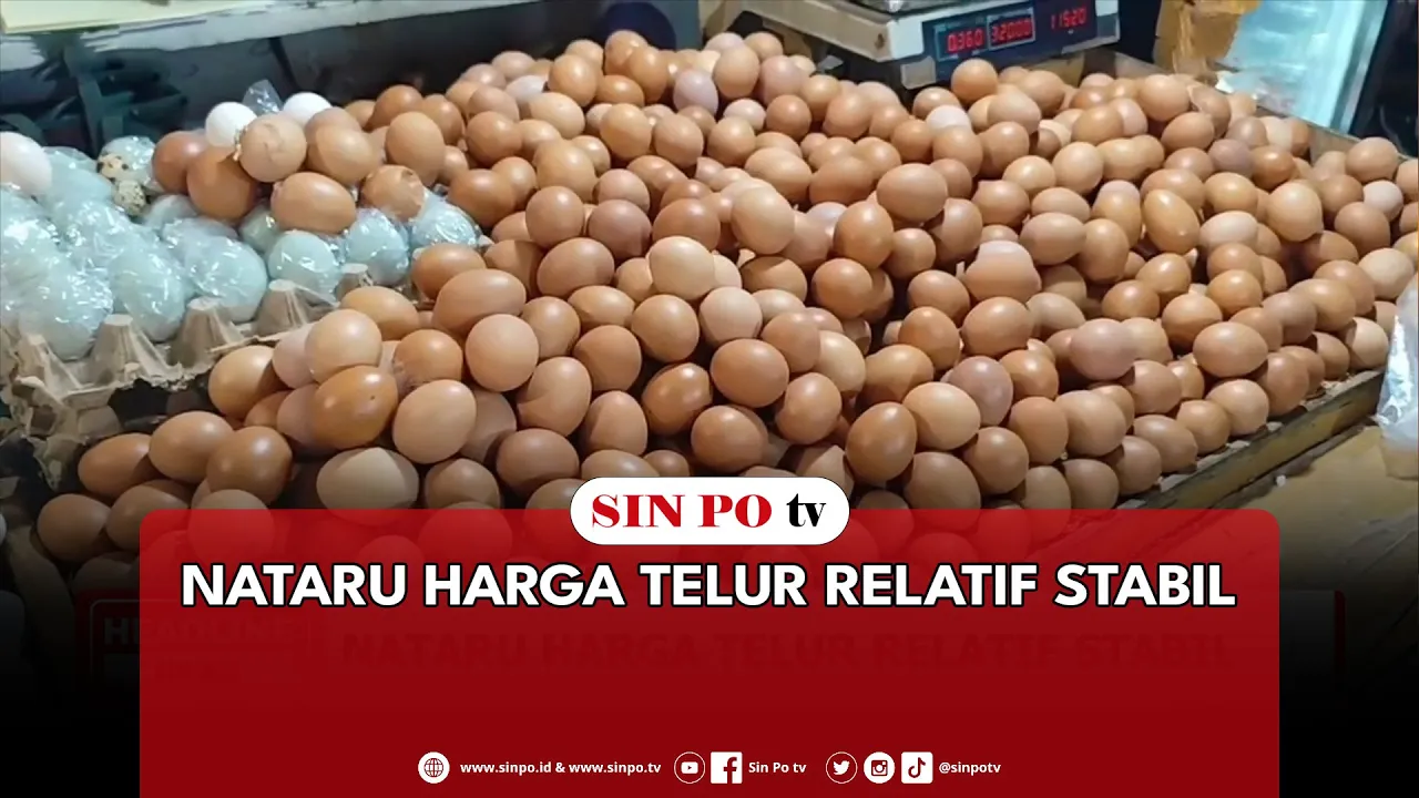 Nataru Harga Telur Relatif Stabil