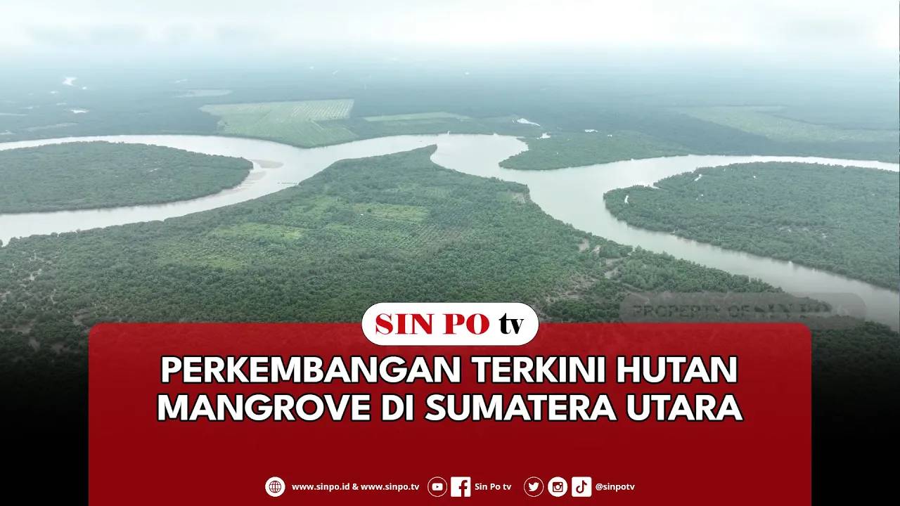 Perkembangan Terkini Hutan Mangrove Di Sumatera Utara