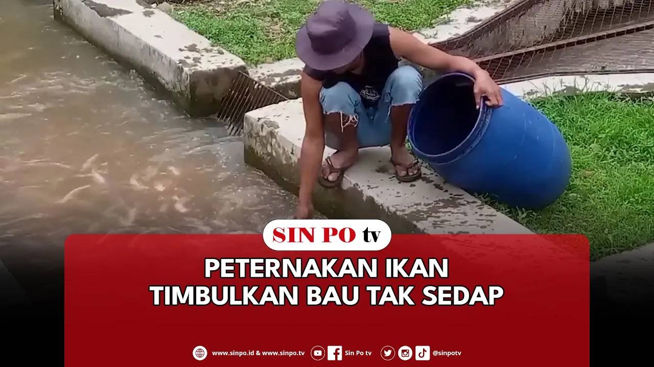 Peternakan Ikan Timbulkan Bau Tak Sedap